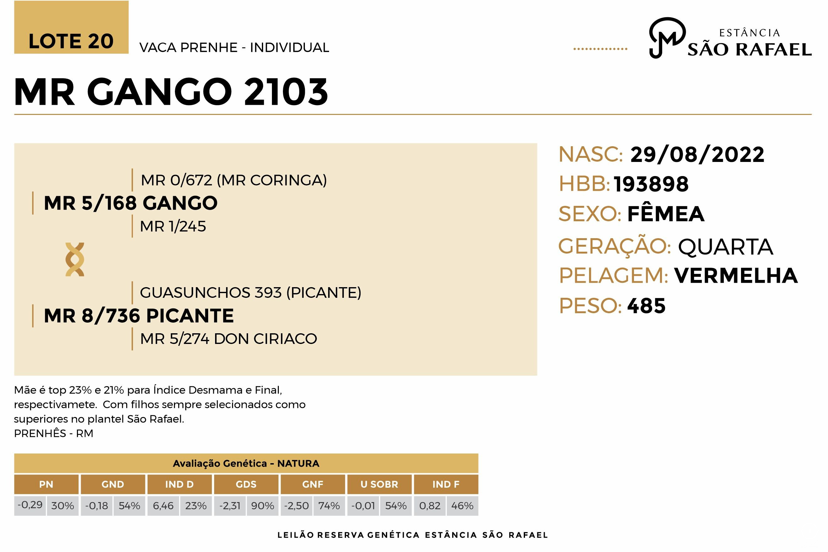 Geração MR GANGO 2103