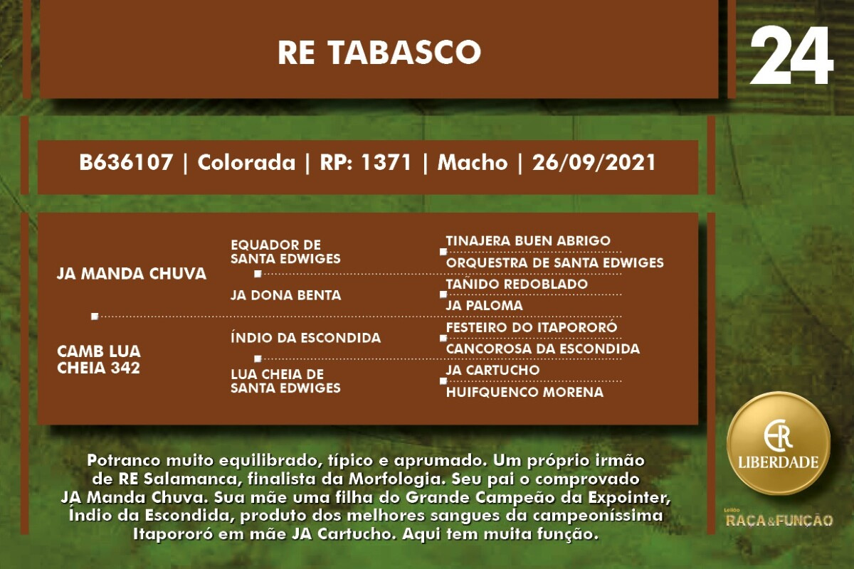 Geração RE TABASCO