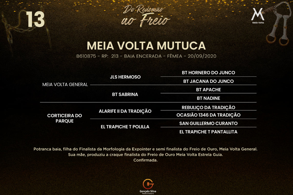 Geração  MEIA VOLTA MUTUCA