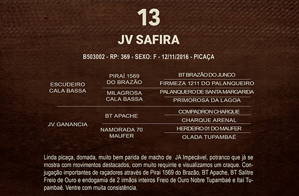 Geração JV SAFIRA