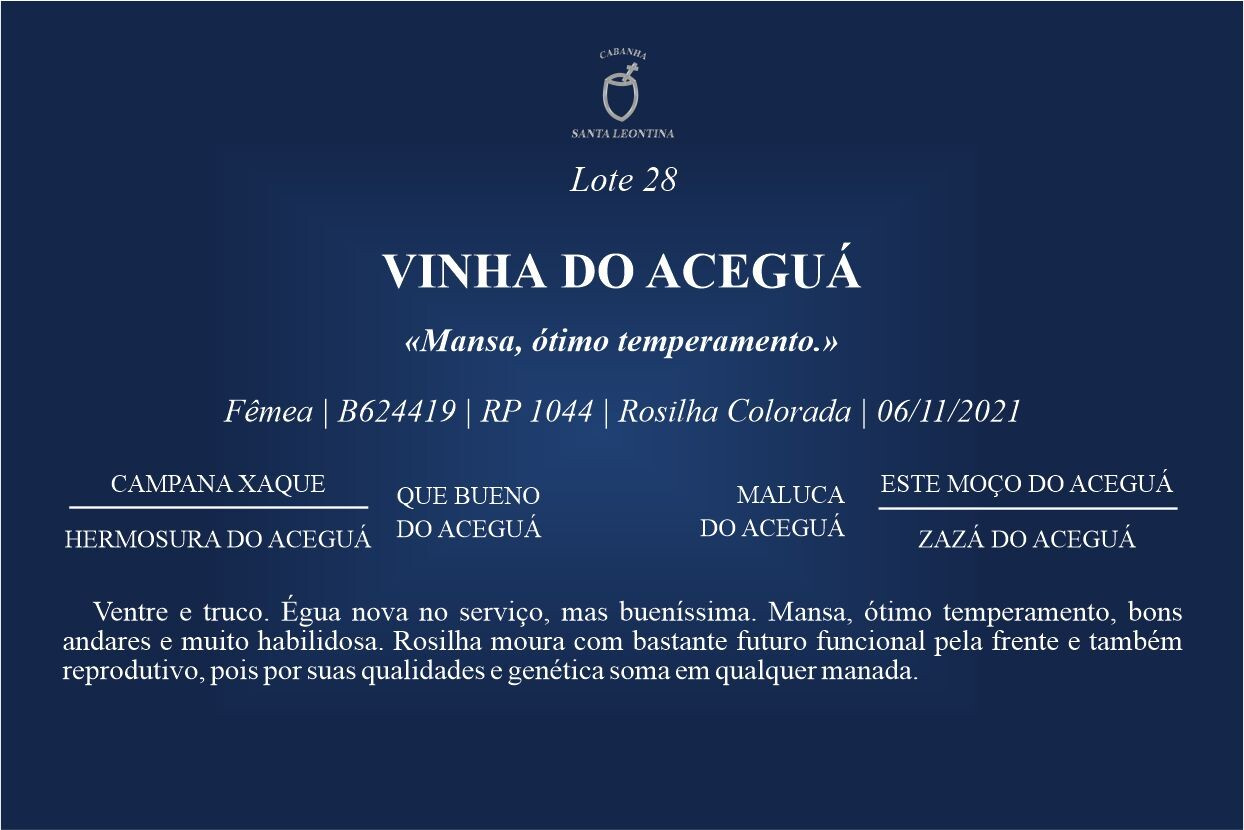 Geração VINHA DO ACEGUÁ