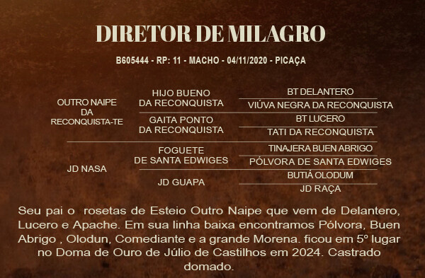 Geração DIRETOR DE MILAGRO 