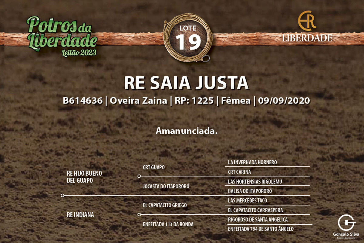 Geração RE SAIA JUSTA