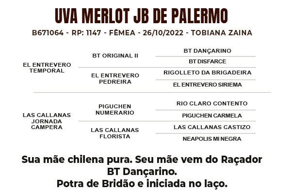 Geração UVA MERLOT JB DE PALERMO