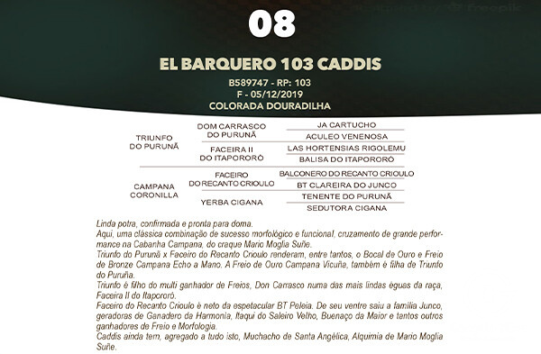 Geração EL BARQUERO 103 CADDIS