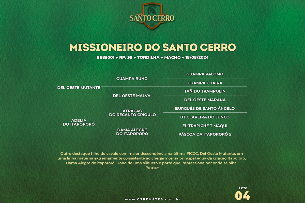 Geração MISSIONEIRO DO SANTO CERRO
