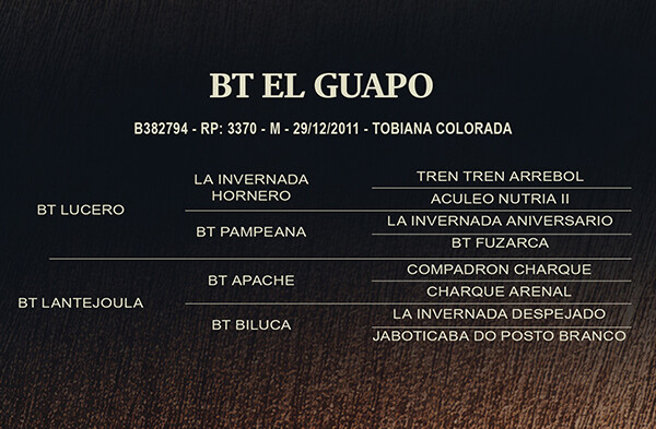 Geração BT EL GUAPO