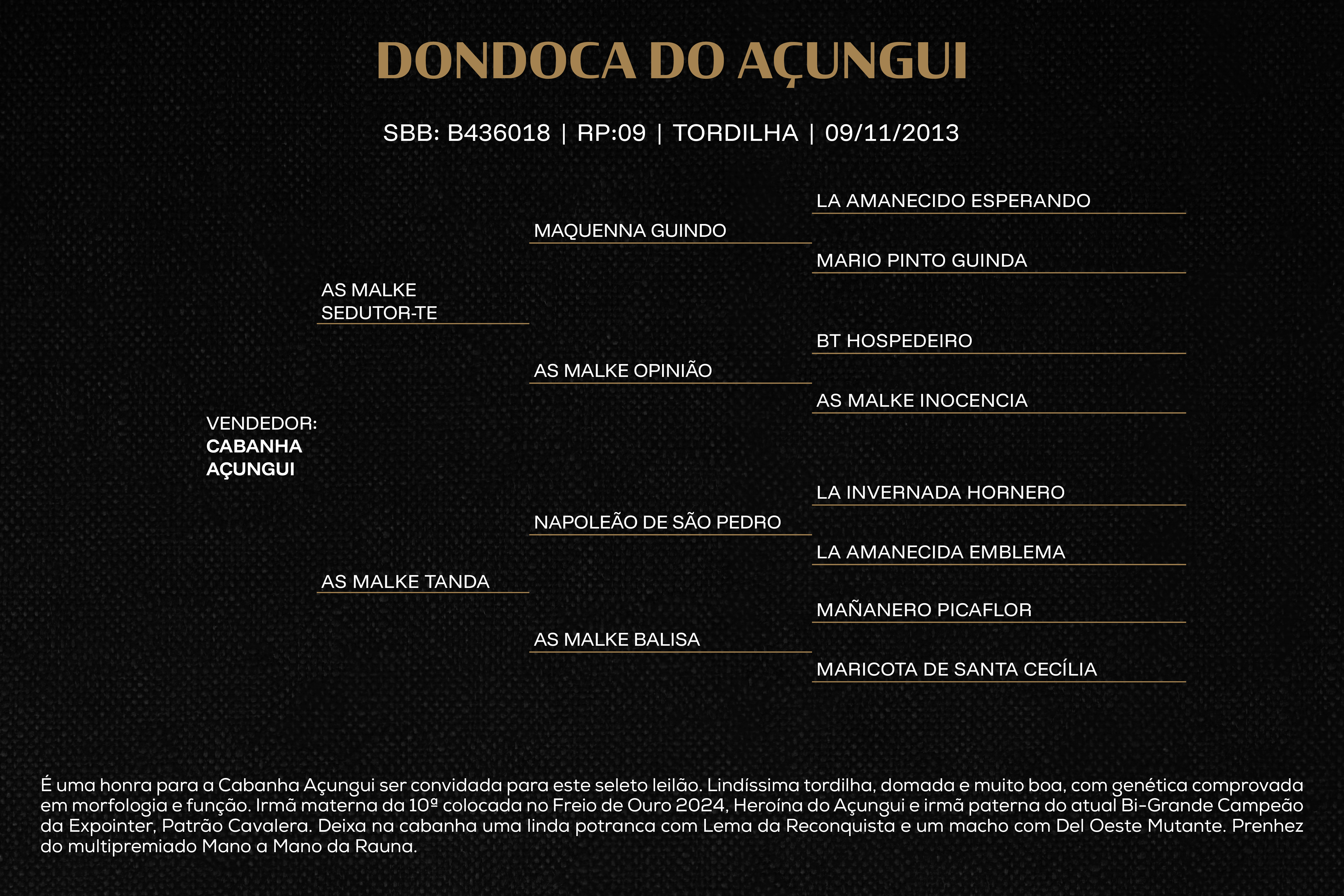 Geração DONDOCA DO AÇUNGUI