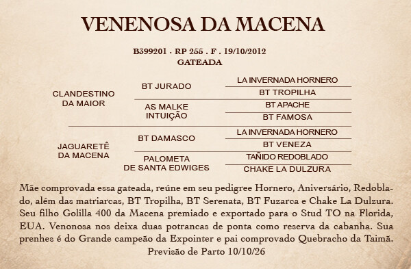 Geração VENENOSA DA MACENA