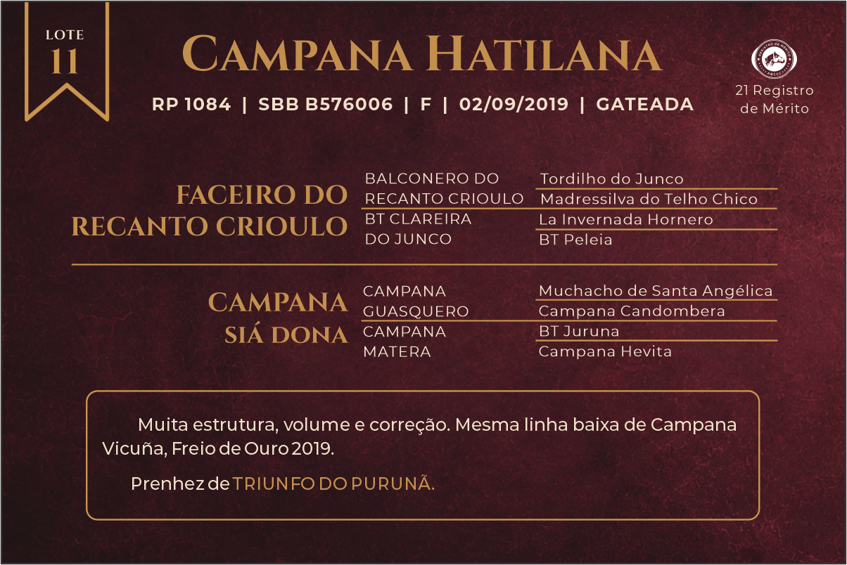 Geração CAMPANA HATILANA