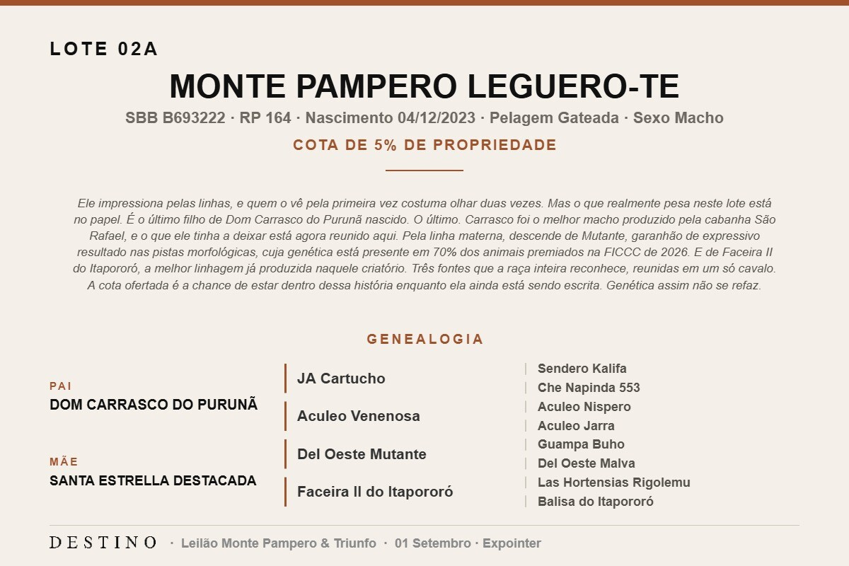 Geração MONTE PAMPERO LEGUERO-TE (Venda vertical cota de 5%)