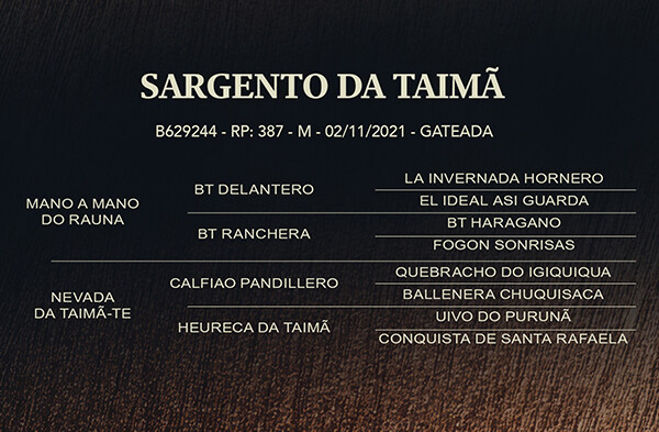 Geração SARGENTO DA TAIMÃ  