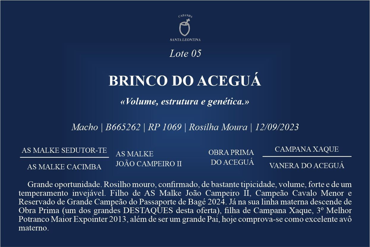 Geração BRINCO DO ACEGUÁ