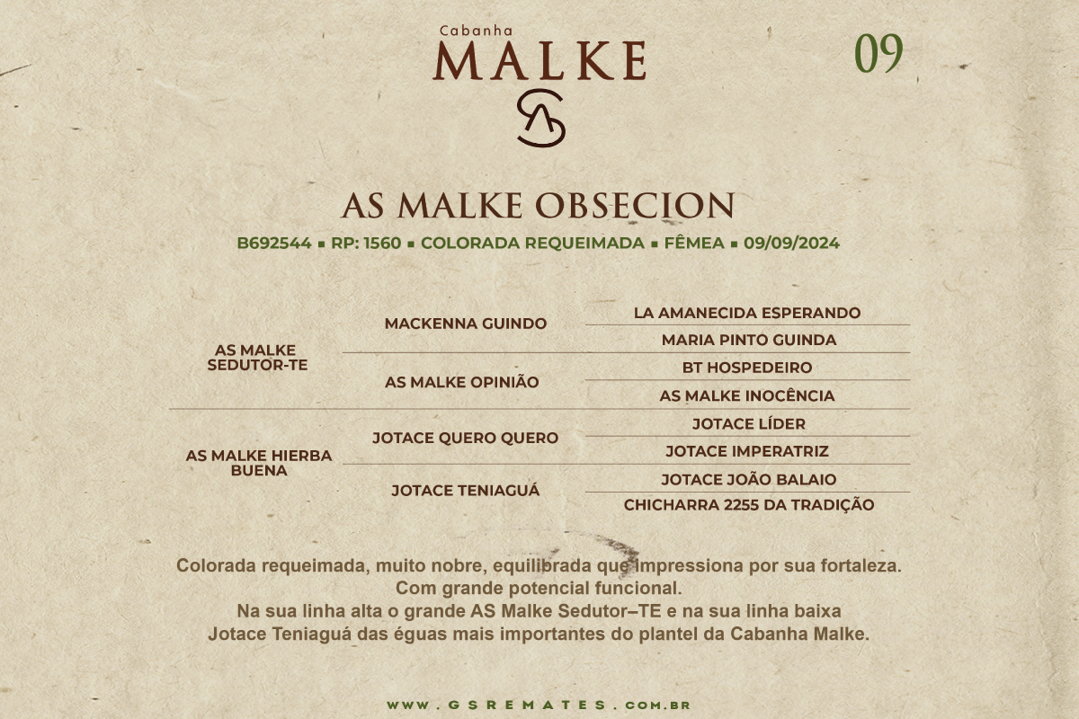 Geração AS MALKE OBSECION