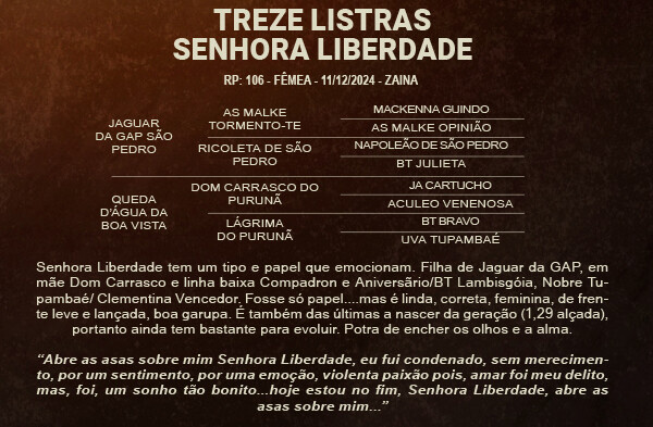 Geração TREZE LISTRAS SENHORA LIBERDADE