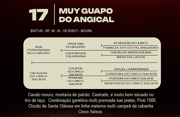Geração MUY GUAPO DO ANGICAL