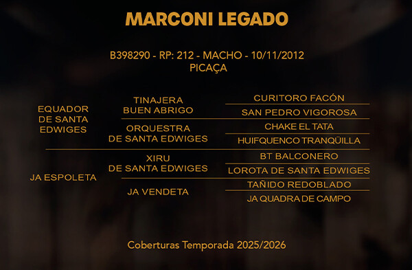 Geração MARCONI LEGADO