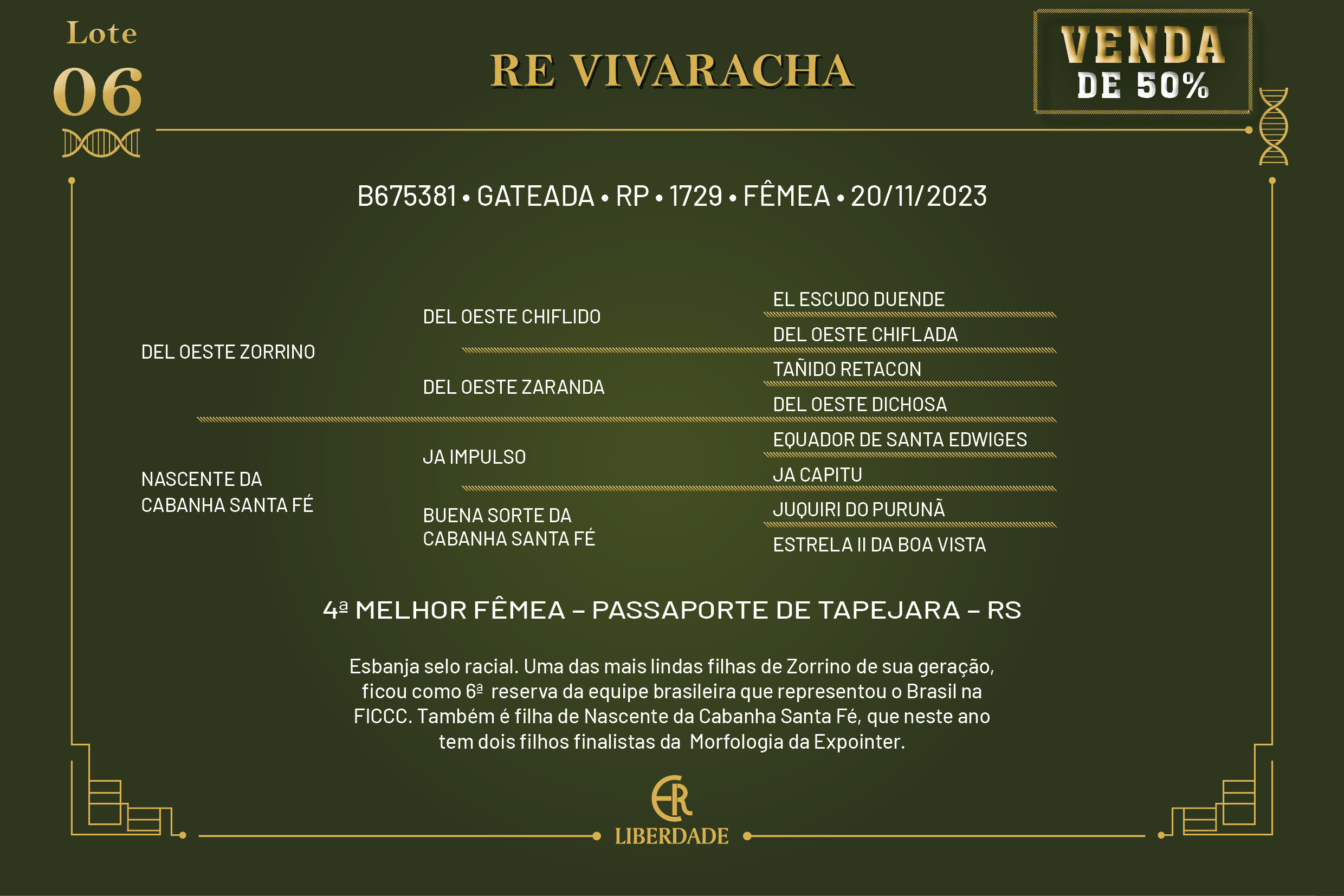 Geração 50% RE VIVARACHA 