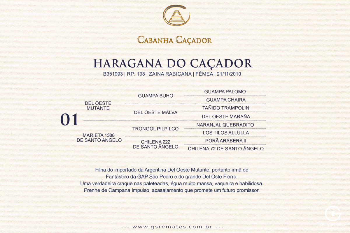 Geração HARAGANA DO CAÇADOR 