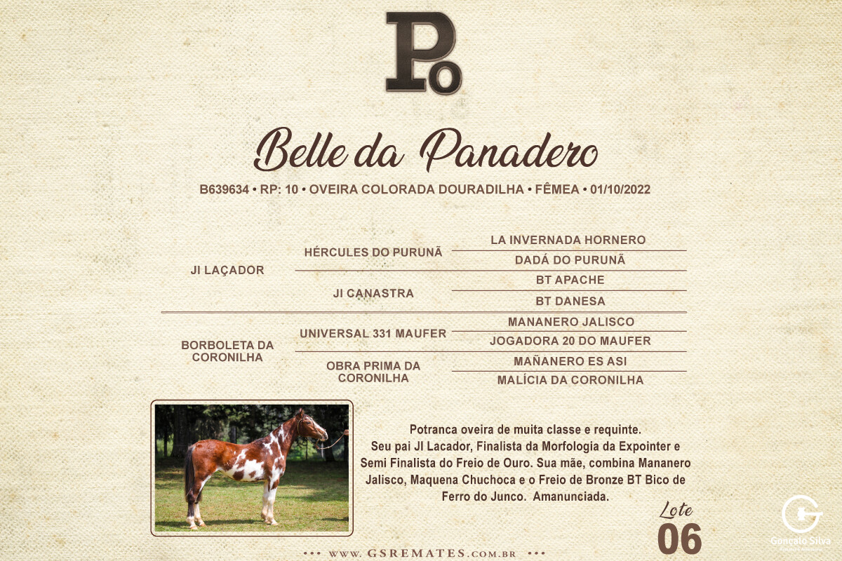 Geração BELLE DA PANADERO