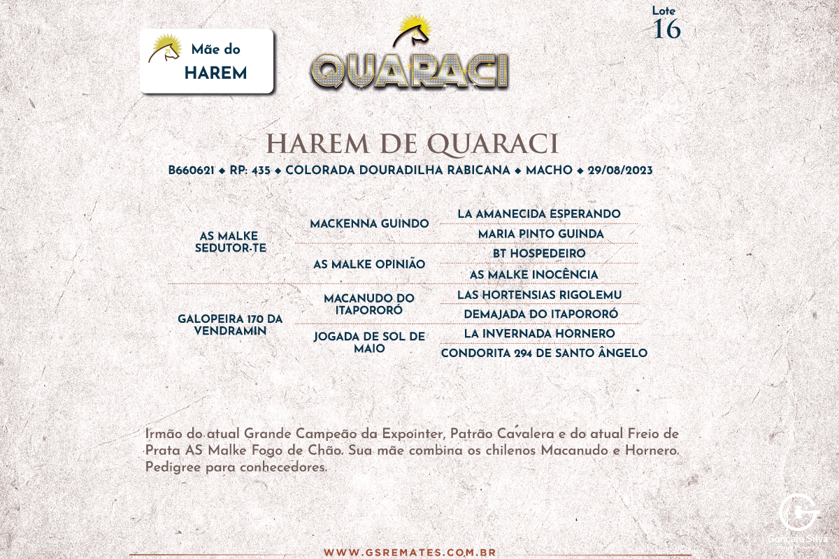 Geração HAREM DE QUARACI