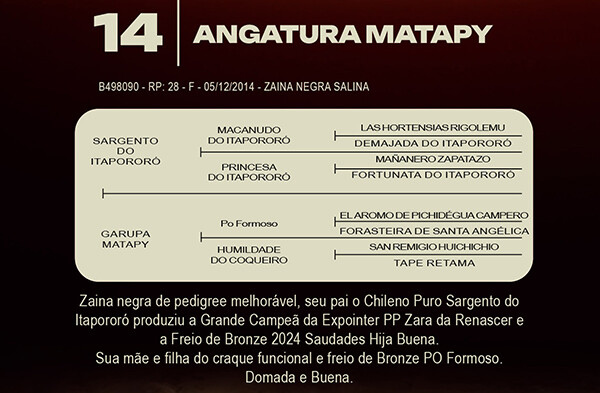 Geração ANGATURA MATAPY