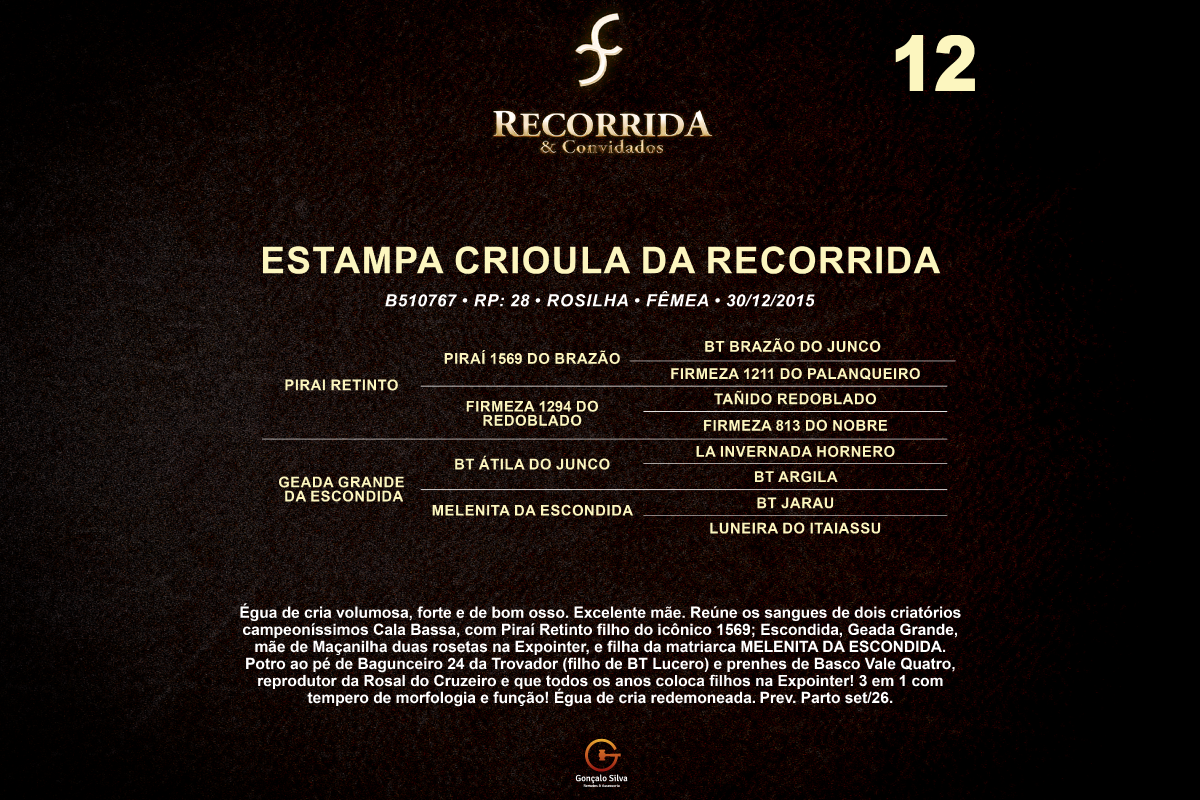 Geração ESTAMPA CRIOULA DA RECORRIDA 