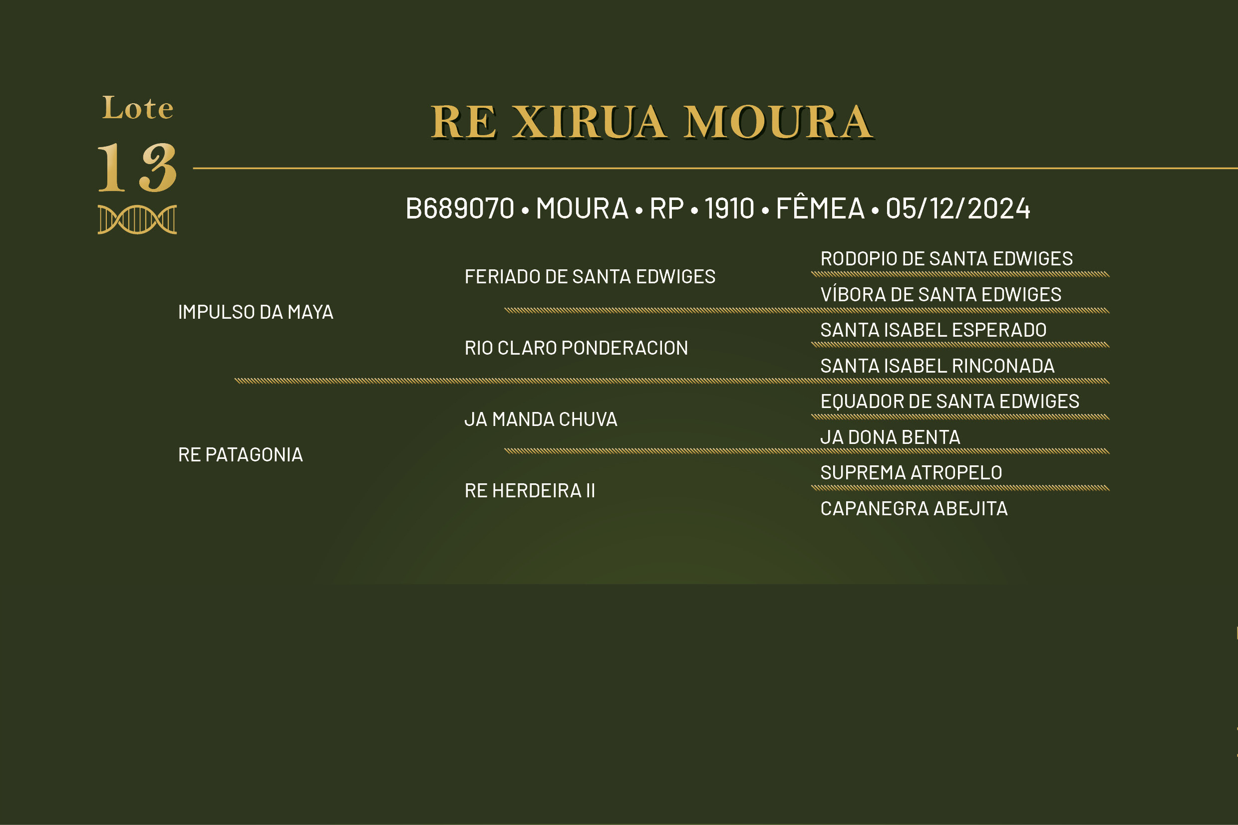 Geração RE XIRUA MOURA 