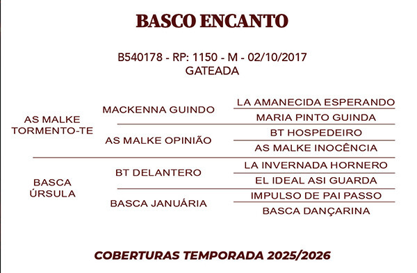 Geração BASCO ENCANTO 