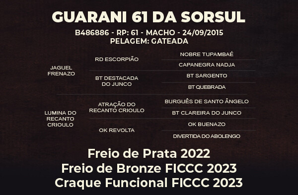 Geração GUARANI 61 DA SORSUL