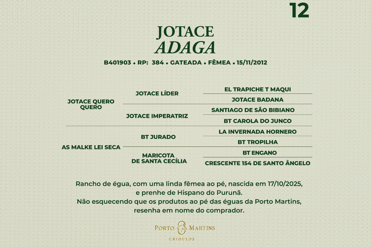 Geração JOTACE ADAGA