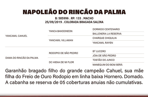 Geração NAPOLEÃO DO RINÇÃO DA PALMA