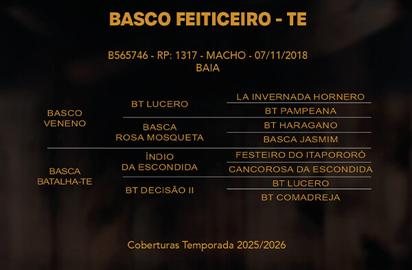 Geração BASCO FEITICEIRO - TE