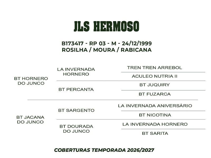 Geração COBERTURA JLS HERMOSO 