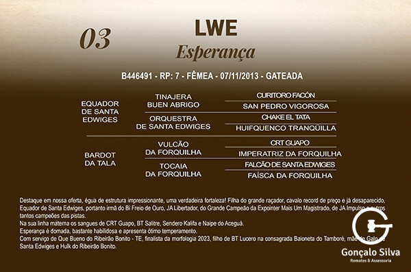 Geração LWE ESPERANÇA