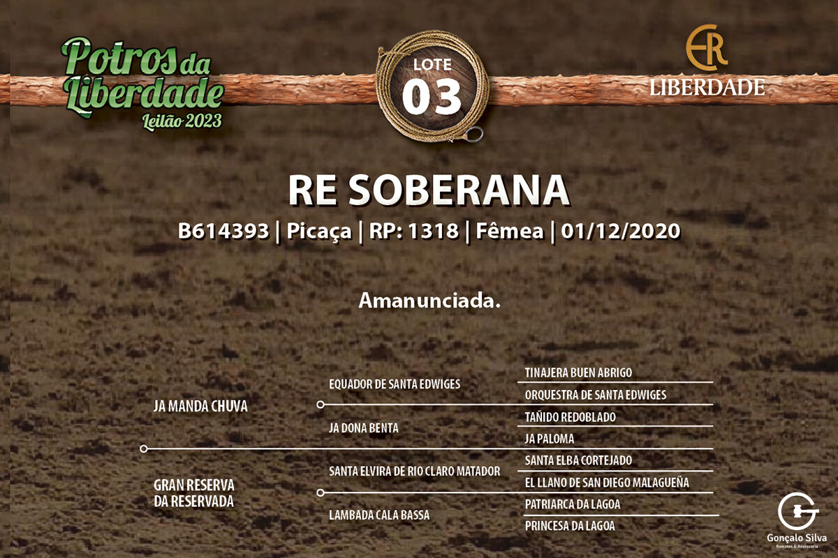 Geração RE SOBERANA