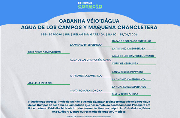 Geração ÁGUA DE LOS CAMPOS Y MAQUENA CHANCLETERA - (ELEIÇÃO DE EMBRIÃO)