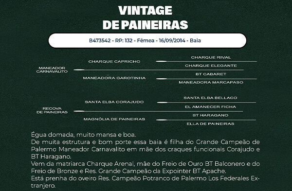 Geração VINTAGE DE PAINEIRAS
