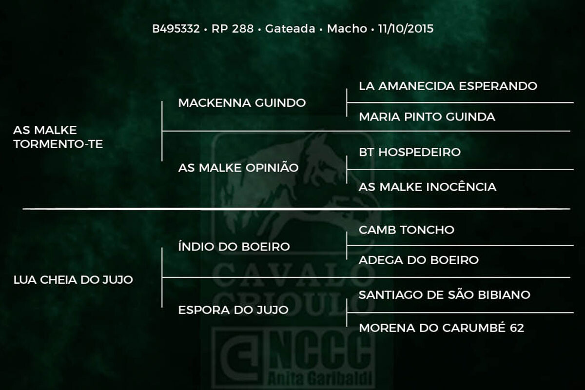 Geração UM BUENO DO PASSO DA LAGE