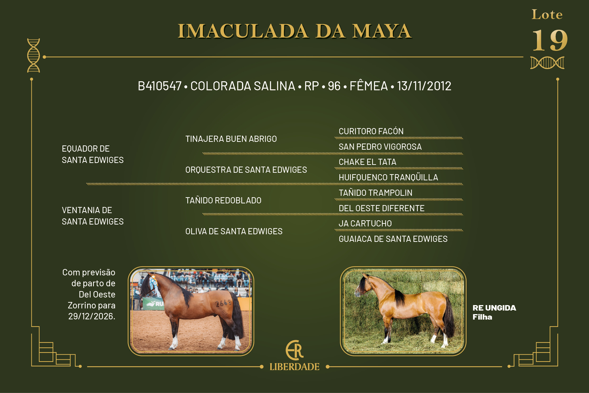 Geração IMACULADA DA MAYA 