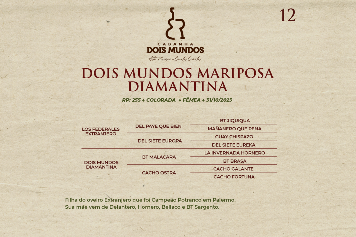 Geração DOIS MUNDOS MARIPOSA DIAMANTINA