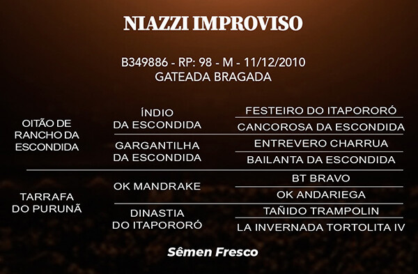 Geração NIAZZI IMPROVISO