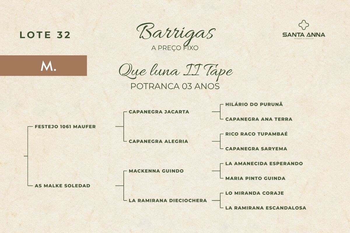 Geração QUE LUNA II TAPE