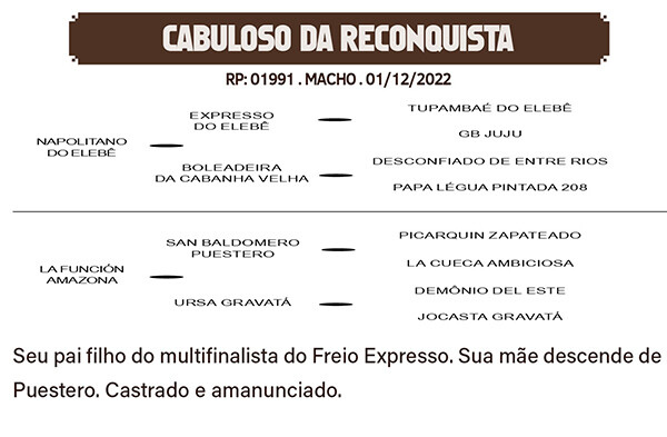 Geração CABULOSO DA RECONQUISTA