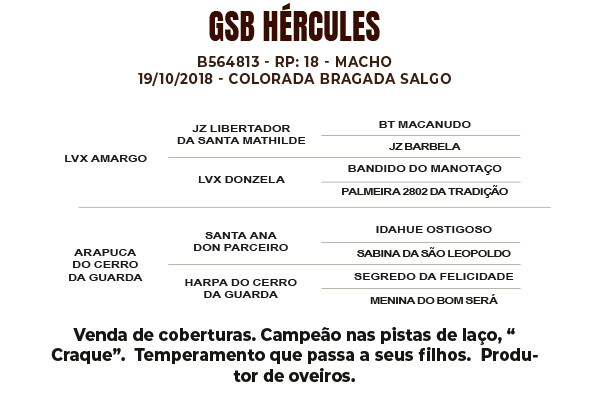 Geração GSB HÉRCULES ( COBERTURA )