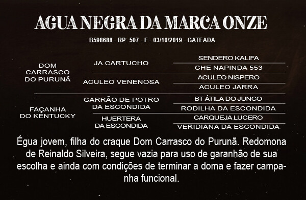 Geração AGUA NEGRA DA MARCA ONZE