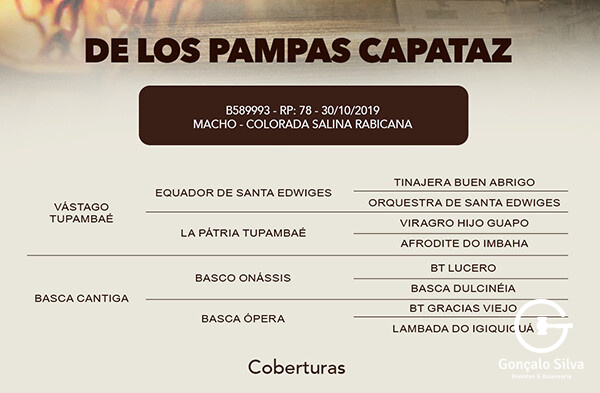 Geração COBERTURA DE LOS PAMPAS CAPATAZ