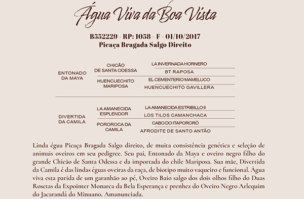 Geração ÁGUA VIVA DA BOA VISTA