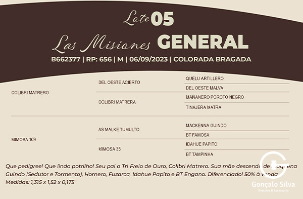 Geração LAS MISIONES GENERAL - VENDA DE 50%