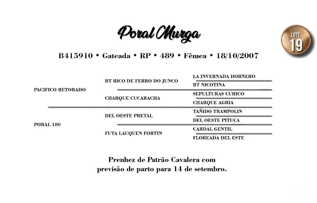 Geração PORAL MURGA